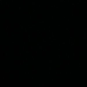 Meet your Posher, Bereket